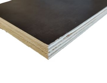 Combi Eucalyptus-Poplar Film Faced Plywood China